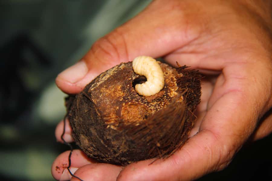 Manaus: Multi-Day Amazon Survival Trip with Camping - Pack carefully for the 12-kilogram luggage limit