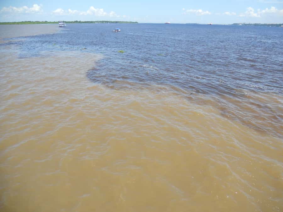 Manaus: Multi-Day Amazon Trip at Tapiri Floating Lodge - Key things to know before you go