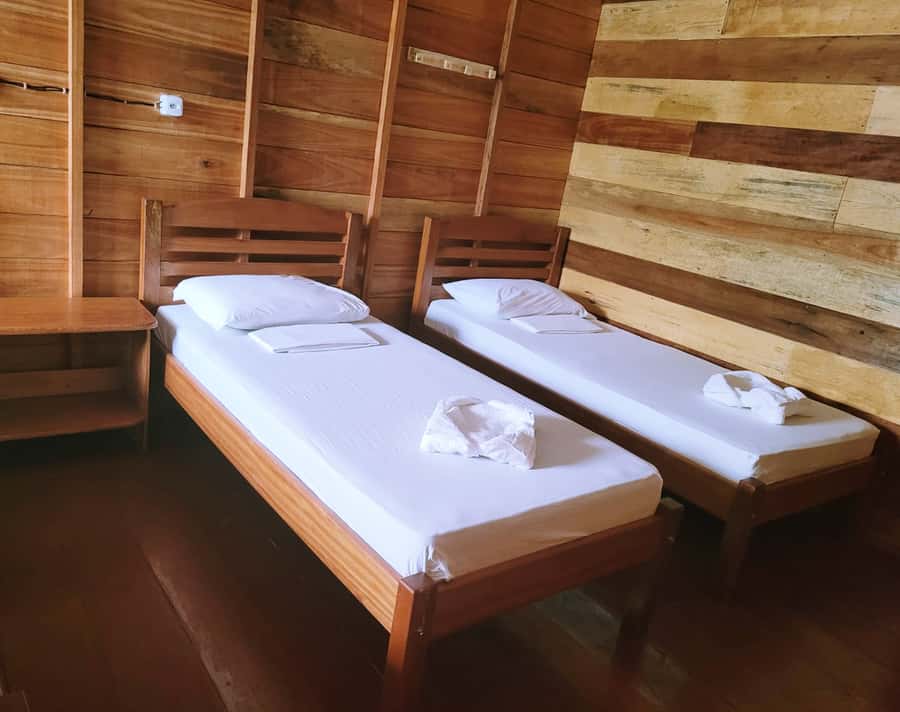 Manaus: Multi-Day Amazon Trip at Tapiri Floating Lodge - Wildlife, guides, and the limits of the forest
