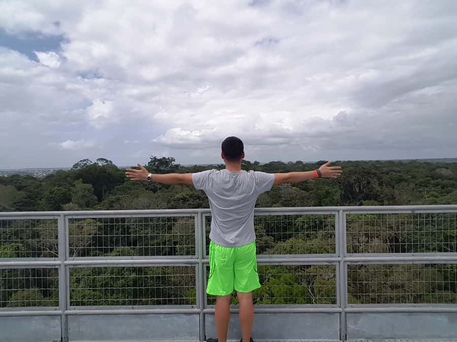 Manaus: MUSA and INPA Museums with Observation Tower Tour - How the guided experience can change the visit