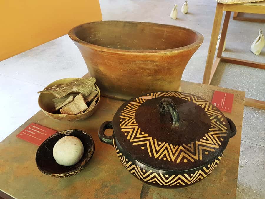 Manaus: MUSA and INPA Museums with Observation Tower Tour - How to make the day run better