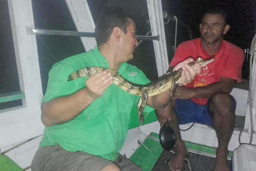 Manaus: Piranha Fishing and Alligator Watch Evening Tour - How much value do you get for $90?