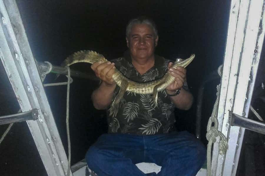 Manaus: Piranha Fishing and Alligator Watch Evening Tour - Should you book the Manaus piranha and alligator tour?