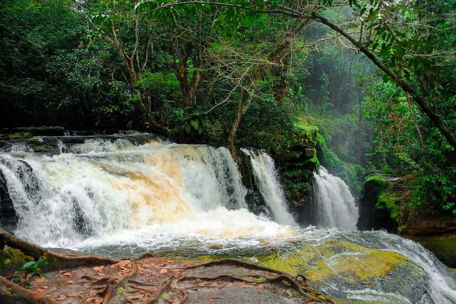 Manaus: Presidente Figueiredo Caves and Waterfalls Tour - At a Glance: What Makes This Day Special