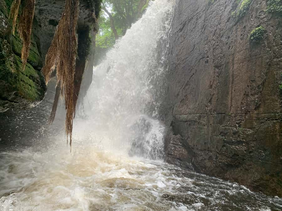 Manaus: Presidente Figueiredo Caves and Waterfalls Tour - Who Will Enjoy This Tour Most?