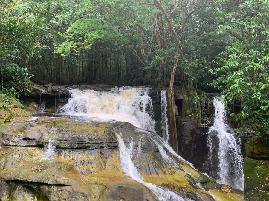 Manaus: Presidente Figueiredo Caves and Waterfalls Tour - Caves Used for Films and Documentaries