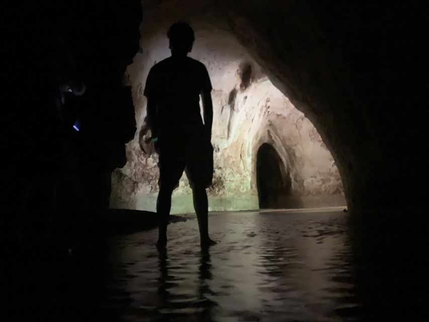 Manaus: Presidente Figueiredo Caves and Waterfalls Tour - Waterfalls, Swimming, and a Change of Plan