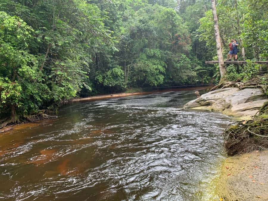 Manaus: Presidente Figueiredo Caves and Waterfalls Tour - Lunch Beside the Urubuí Rapids