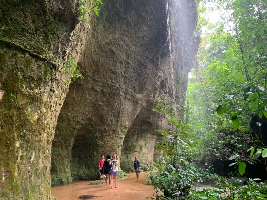 Manaus: Presidente Figueiredo Caves and Waterfalls Tour - Iracema Park and the First Jungle Walk
