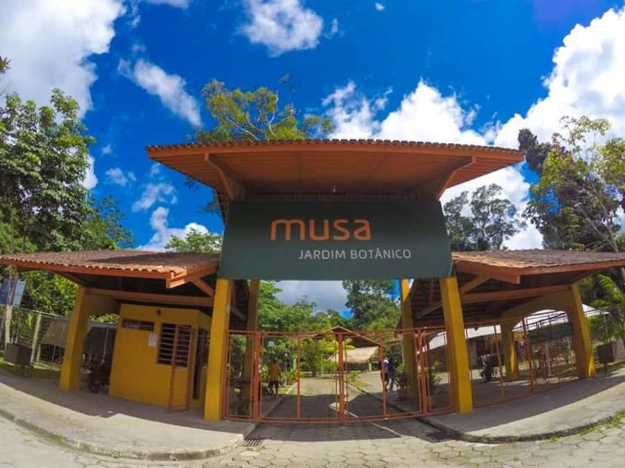 Manaus : Visit to MUSA (Amazon Museum) - Why MUSA is different from a normal Manaus museum