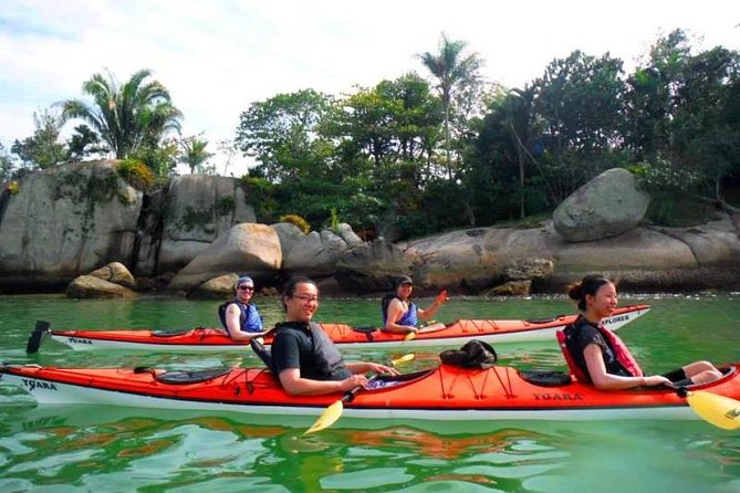 Mangrove and Beach Kayak Tour BY PARATY TOURS - Key points to know before you paddle