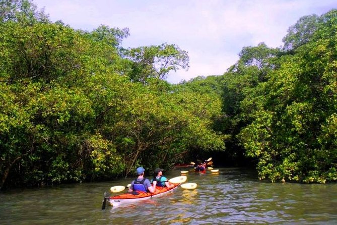 Mangrove and Beach Kayak Tour BY PARATY TOURS - Crossing Paraty Bay between the islands