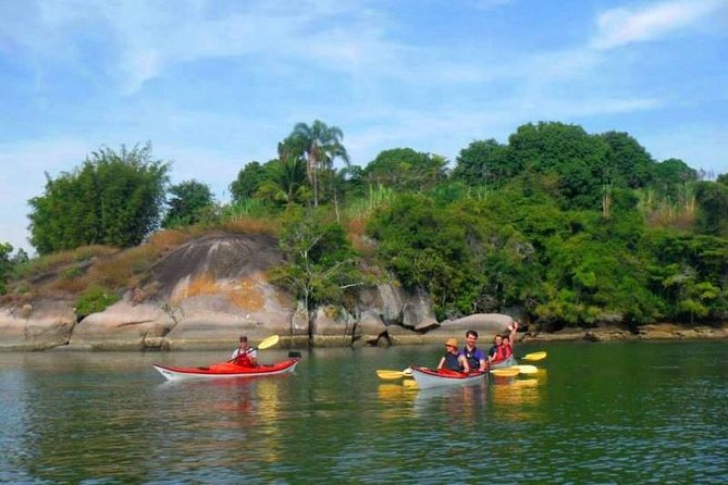 Mangrove and Beach Kayak Tour BY PARATY TOURS - What $70 buys you in practical terms