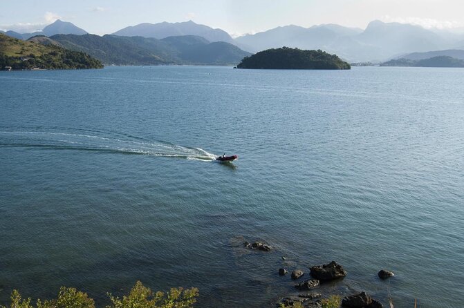 Mangrove, Beaches and Islands by Kayak tour - Key points to know before booking