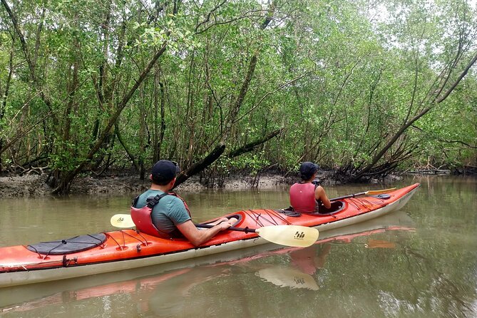 Mangrove, Beaches and Islands by Kayak tour - Paddling across the bay and past the islands