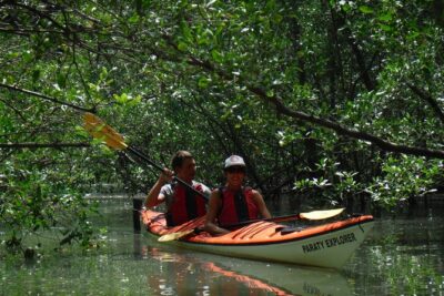 Mangrove, Beaches and Islands by Kayak tour