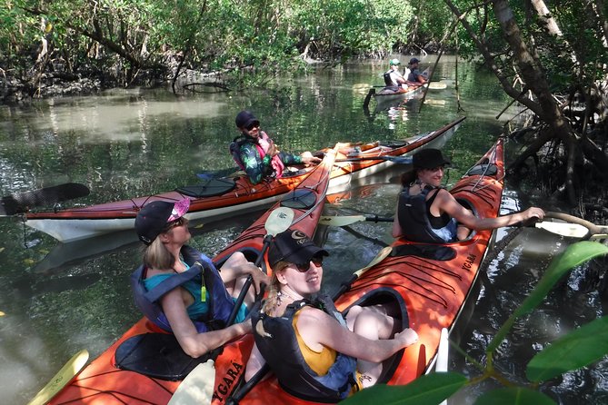 Mangrove, Beaches and Islands by Kayak tour - Rosa Beach, swimming, and time to slow down