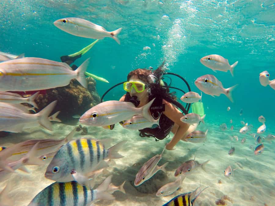Maracajau Parrachos Reef: Mask and Snorkel swim adventure - Key points to know before booking