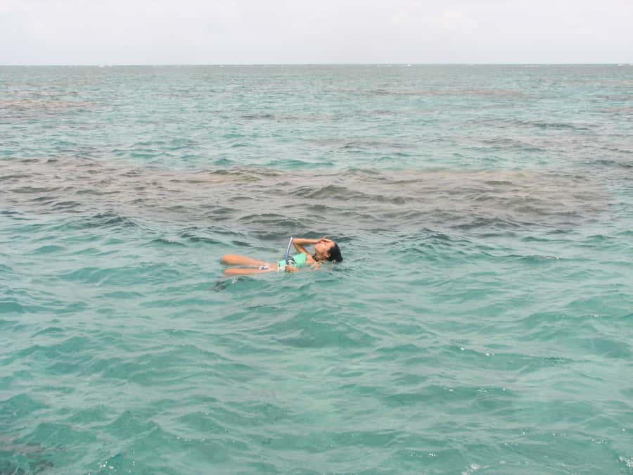 Maracajau Parrachos Reef: Mask and Snorkel swim adventure - Practical advice for a smoother day
