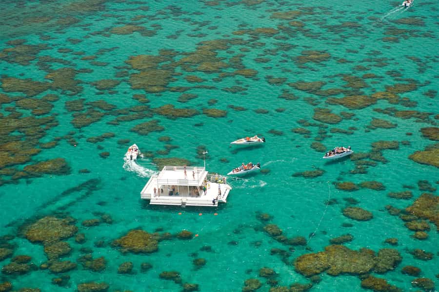 Maracajau Parrachos Reef: Mask and Snorkel swim adventure - About 90 minutes above the reef