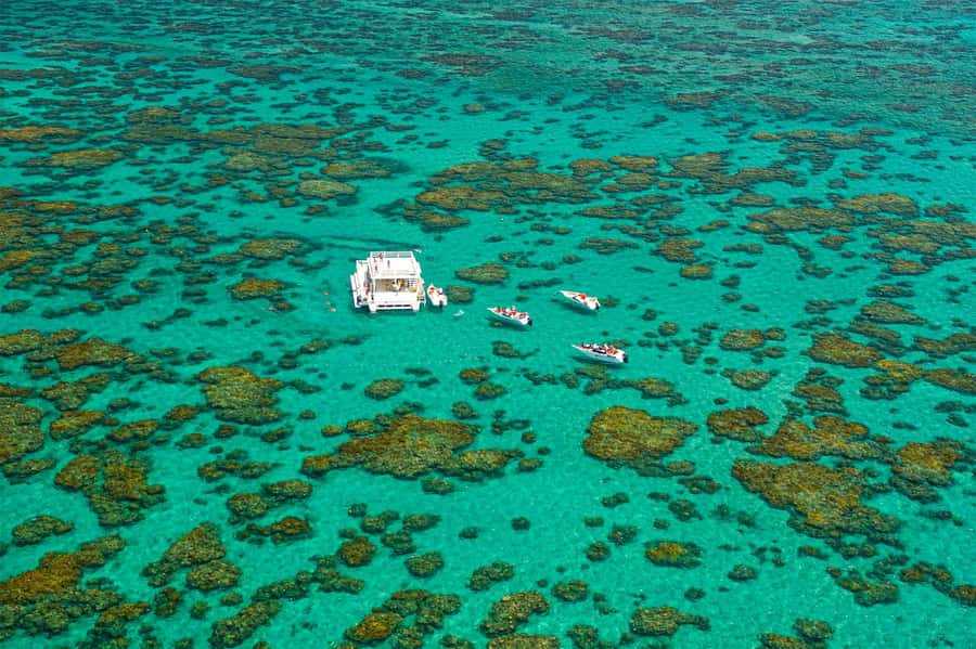 Maracajau Parrachos Reef: Mask and Snorkel swim adventure - Two hours back on shore