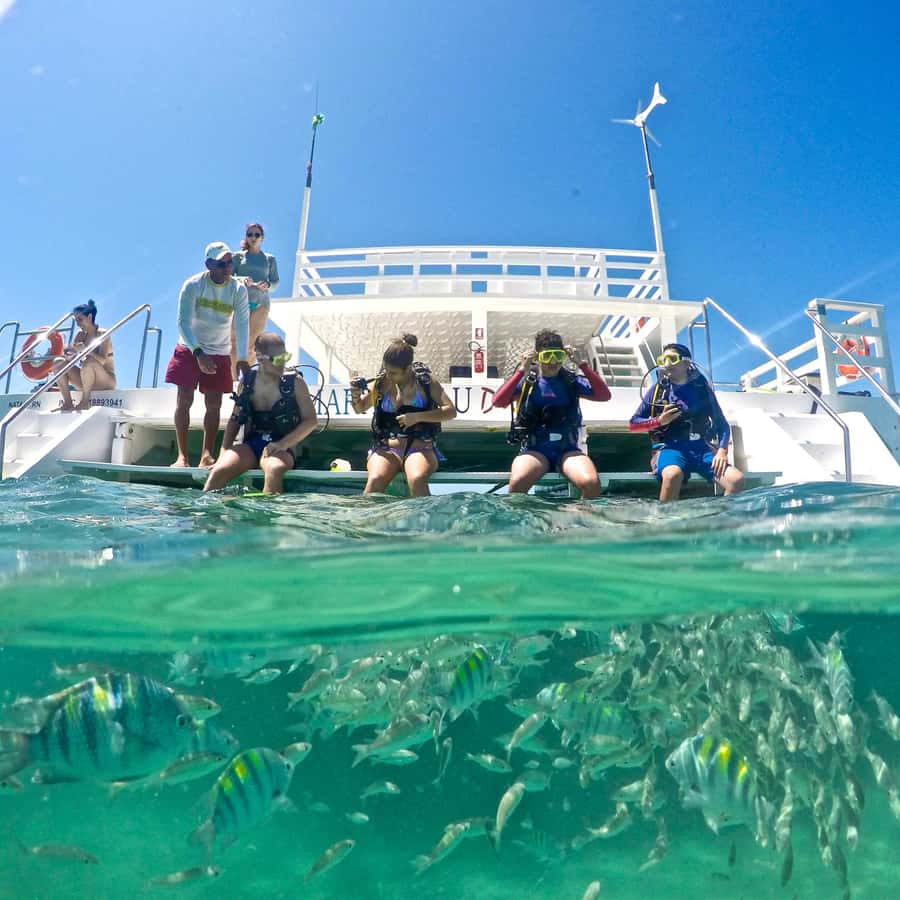 Maracajau Parrachos Reef: Mask and Snorkel swim adventure - The 6 a.m. pickup from Natal