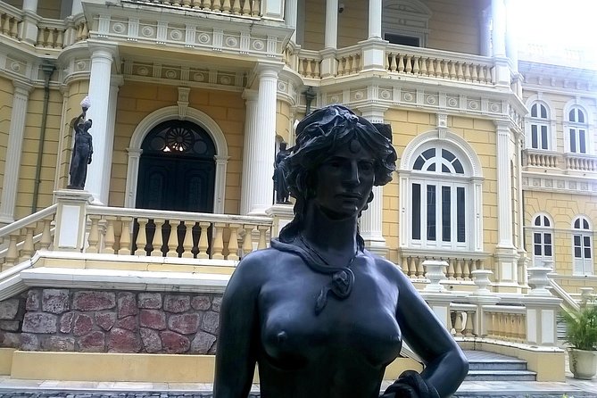 Meeting of the Waters and Amazonas Opera House - Half Day Tour - The market, monument, and central Manaus