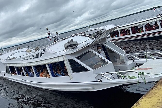 Meeting of the Waters & Pink Dolphin Tour with Lunch - The pink dolphin encounter