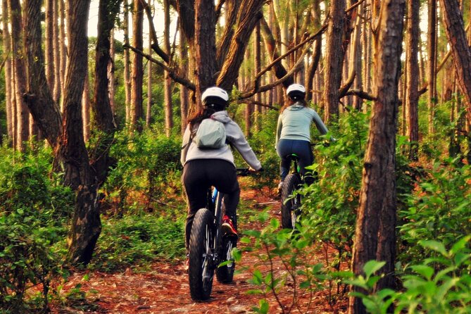 Mozambique Beach in Two Roads, Bike Tour - Why this route shows a quieter side of Florianópolis