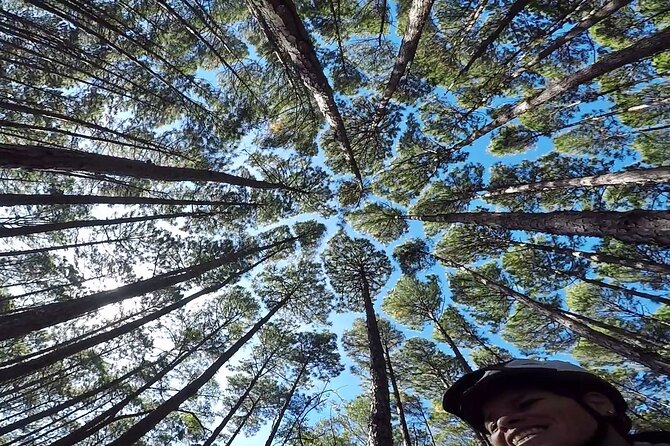 Mozambique Beach in Two Roads, Bike Tour - The pine forest, restinga, and changing surfaces