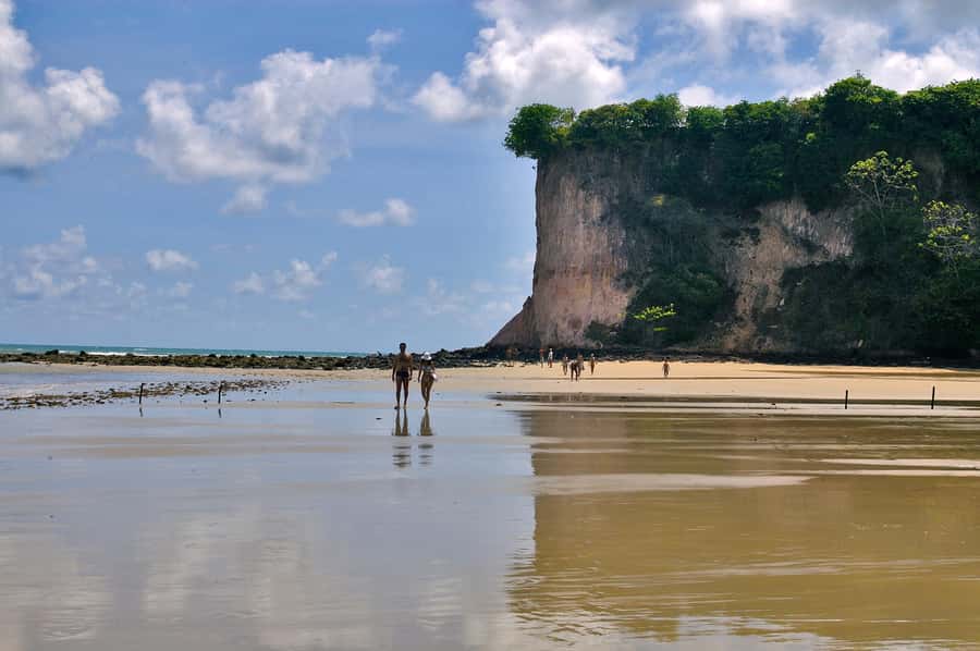 Natal: South Coast Day Tour by 4X4 with Pickup - Service quality and an important warning