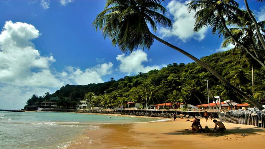 Natal: South Coast Day Tour by 4X4 with Pickup - The World’s Largest Cashew Tree