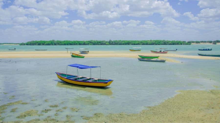 Natal: Tour to Galinhos - Swimming in the clear water of Lagoa do Capim