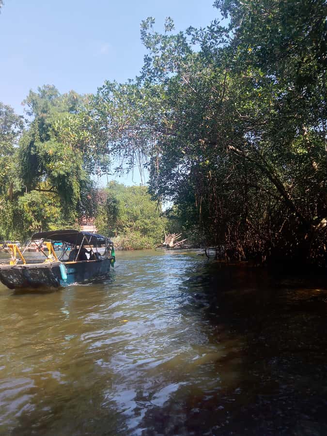 Pantanal of Rio de Janeiro - Key points at a glance