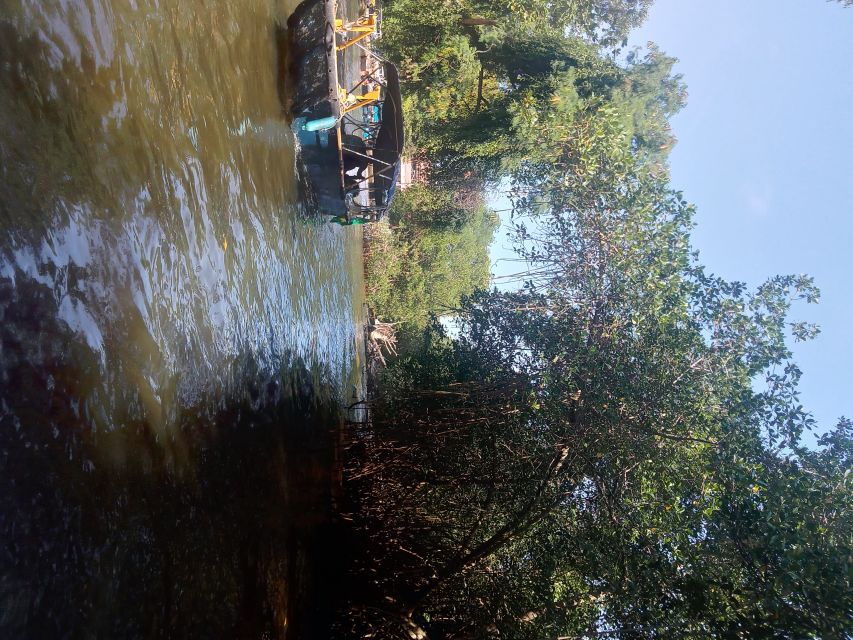 Pantanal of Rio de Janeiro - Pedra da Gávea from the water