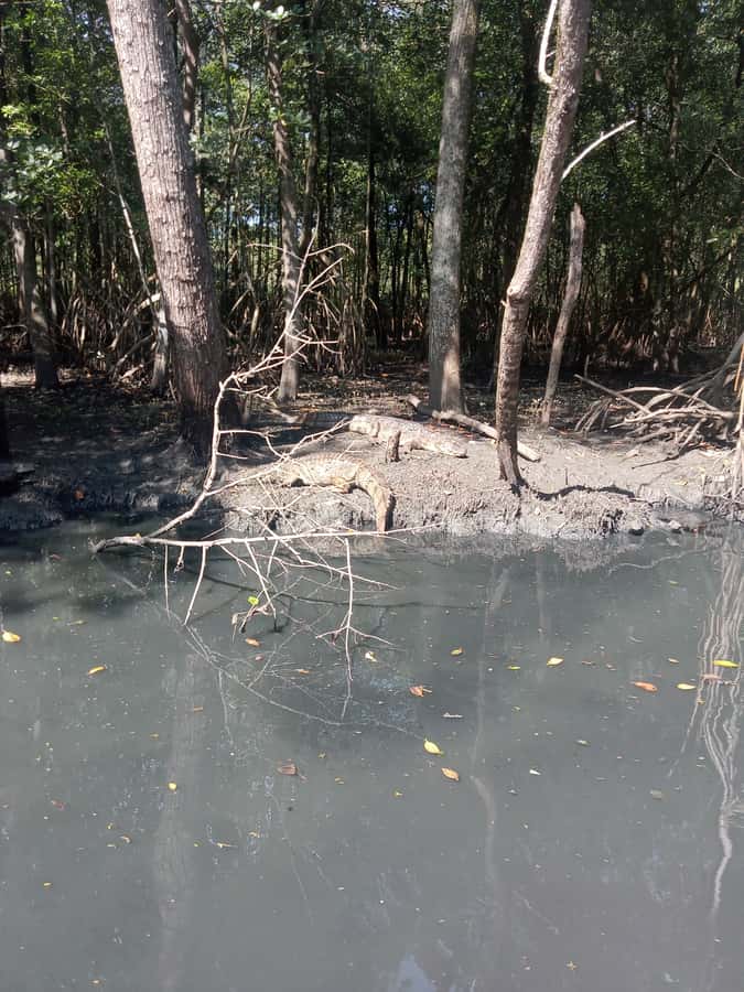 Pantanal of Rio de Janeiro - The optional stop at Barra da Tijuca beach