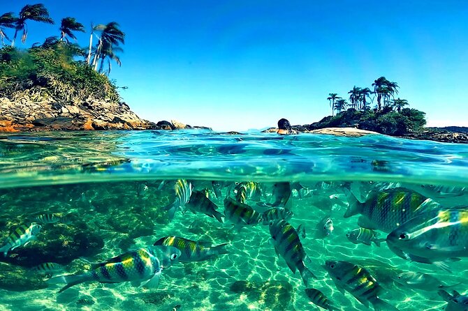 Paradise Islands in Angra dos Reis Private Boat Route - Key points to know before you book