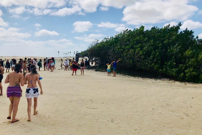 Paradise Lagoon tour - Preá Beach brings a quieter coastal pause