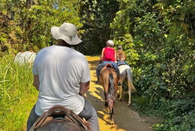 3-Hour Rainforest Horseback Ride