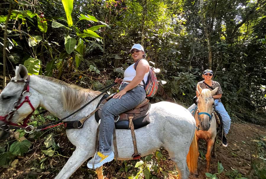 Paraty: 3-Hour Rainforest Horseback Ride - Riding through forest, plains, and Atlantic Forest country