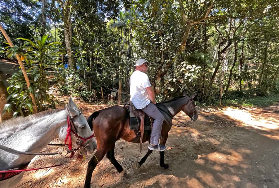 Paraty: 3-Hour Rainforest Horseback Ride - Waterfalls and a chance to bathe