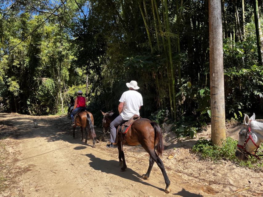 Paraty: 3-Hour Rainforest Horseback Ride - Lookouts above Paraty and the bay