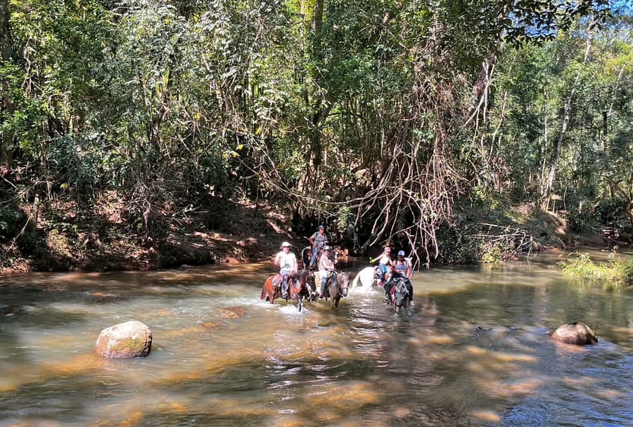 Paraty: 3-Hour Rainforest Horseback Ride - What the $120 price includes