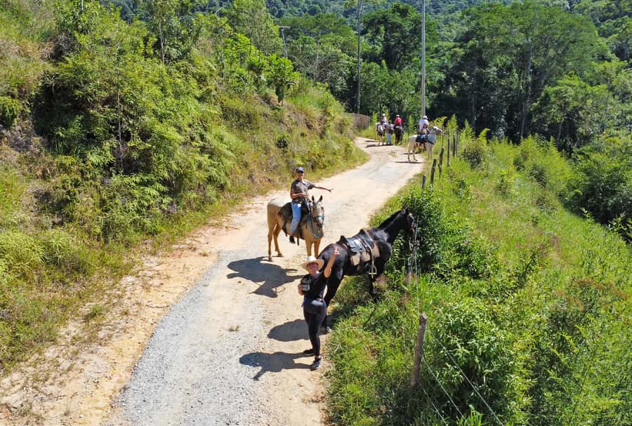 Paraty: 3-Hour Rainforest Horseback Ride - Who should book this ride