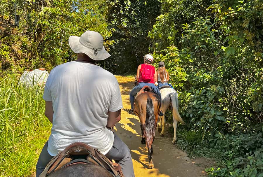 Paraty: 3-Hour Rainforest Horseback Ride - From Avenida Roberto Silveira to Pedras Azuis