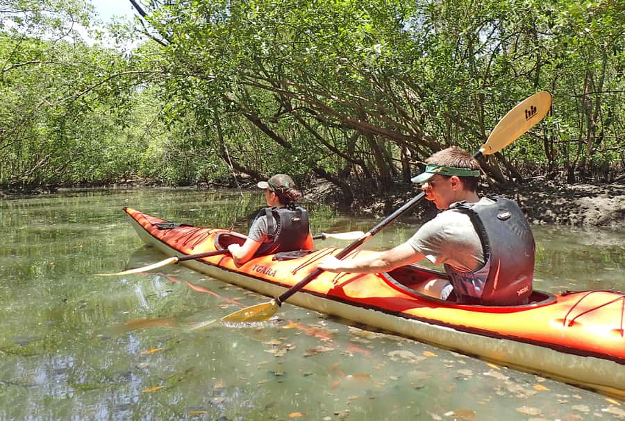 Paraty Bay: Half-Day Mangroves and Beaches Tour by Kayak - Paddling across the flat waters of Paraty Bay