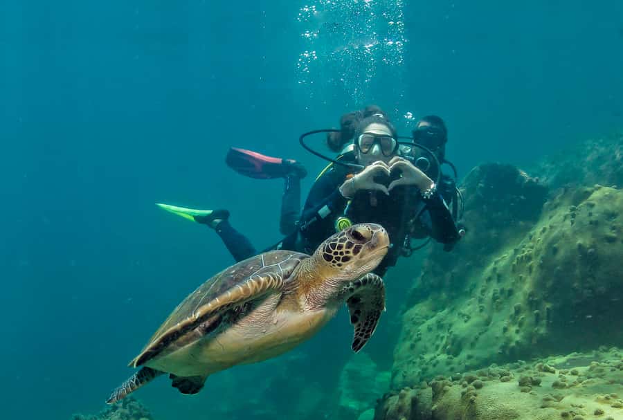 Paraty: Discovery Scuba Diving Experience for Beginners - Key Details Before You Book