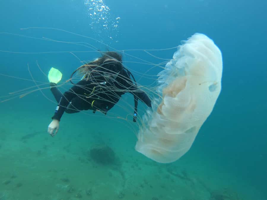 Paraty: Discovery Scuba Diving Experience for Beginners - Practical Packing and Planning Tips