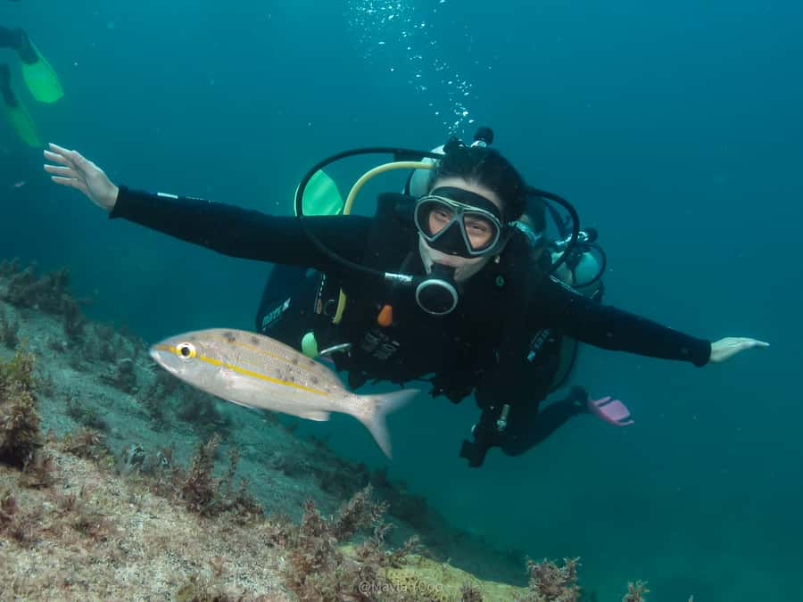 Paraty: Discovery Scuba Diving Experience for Beginners - Why Paraty Works Well for First-Time Scuba