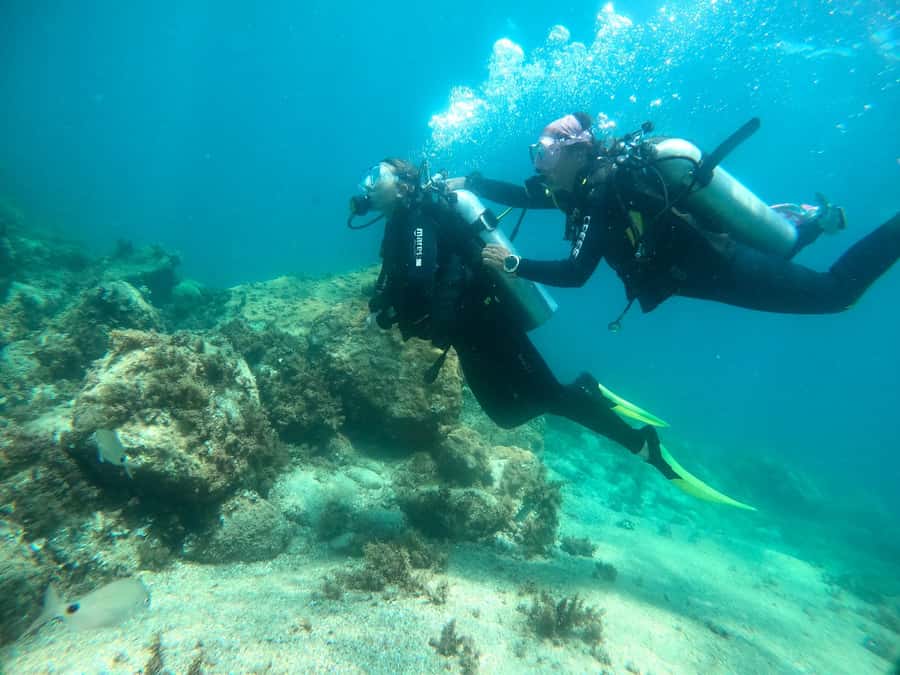 Paraty: Discovery Scuba Diving Experience for Beginners - What You Do While Others Are in the Water